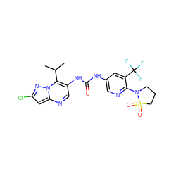 CC(C)c1c(NC(=O)Nc2cnc(N3CCCS3(=O)=O)c(C(F)(F)F)c2)cnc2cc(Cl)nn12 ZINC000653878748