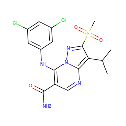 CC(C)c1c(S(C)(=O)=O)nn2c(Nc3cc(Cl)cc(Cl)c3)c(C(N)=O)cnc12 ZINC000653793694