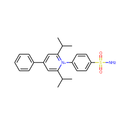 CC(C)c1cc(-c2ccccc2)cc(C(C)C)[n+]1-c1ccc(S(N)(=O)=O)cc1 ZINC000027992070