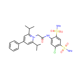 CC(C)c1cc(-c2ccccc2)cc(C(C)C)[n+]1CC(=O)Nc1cc(Cl)c(S(N)(=O)=O)cc1S(N)(=O)=O ZINC000026817716