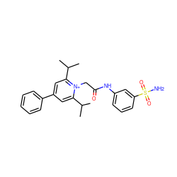 CC(C)c1cc(-c2ccccc2)cc(C(C)C)[n+]1CC(=O)Nc1cccc(S(N)(=O)=O)c1 ZINC000013804284