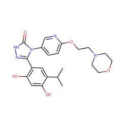 CC(C)c1cc(-c2n[nH]c(=O)n2-c2ccc(OCCN3CCOCC3)nc2)c(O)cc1O ZINC000115808725