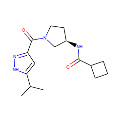 CC(C)c1cc(C(=O)N2CC[C@@H](NC(=O)C3CCC3)C2)n[nH]1 ZINC000369068256