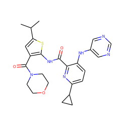 CC(C)c1cc(C(=O)N2CCOCC2)c(NC(=O)c2nc(C3CC3)ccc2Nc2cncnc2)s1 ZINC000169701725