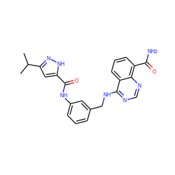 CC(C)c1cc(C(=O)Nc2cccc(CNc3ncnc4c(C(N)=O)cccc34)c2)[nH]n1 ZINC000114348749