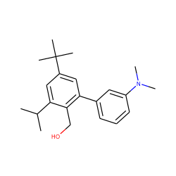 CC(C)c1cc(C(C)(C)C)cc(-c2cccc(N(C)C)c2)c1CO ZINC000073294825