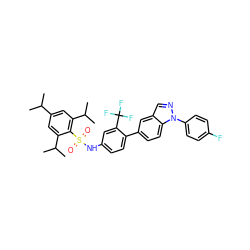 CC(C)c1cc(C(C)C)c(S(=O)(=O)Nc2ccc(-c3ccc4c(cnn4-c4ccc(F)cc4)c3)c(C(F)(F)F)c2)c(C(C)C)c1 ZINC000049777089