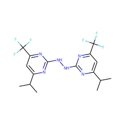 CC(C)c1cc(C(F)(F)F)nc(NNc2nc(C(C)C)cc(C(F)(F)F)n2)n1 ZINC000001852074