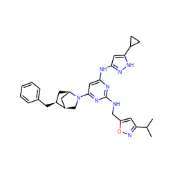 CC(C)c1cc(CNc2nc(Nc3cc(C4CC4)[nH]n3)cc(N3C[C@@H]4C[C@H]3C[C@@H]4Cc3ccccc3)n2)on1 ZINC001772593840