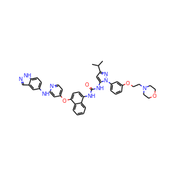 CC(C)c1cc(NC(=O)Nc2ccc(Oc3ccnc(Nc4ccc5[nH]ncc5c4)c3)c3ccccc23)n(-c2cccc(OCCN3CCOCC3)c2)n1 ZINC001772629673