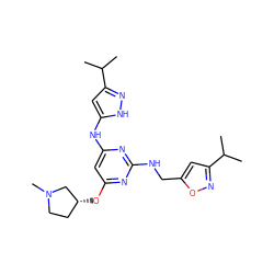 CC(C)c1cc(Nc2cc(O[C@@H]3CCN(C)C3)nc(NCc3cc(C(C)C)no3)n2)[nH]n1 ZINC000141831493