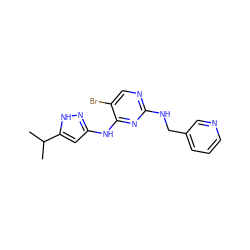 CC(C)c1cc(Nc2nc(NCc3cccnc3)ncc2Br)n[nH]1 ZINC000084733954