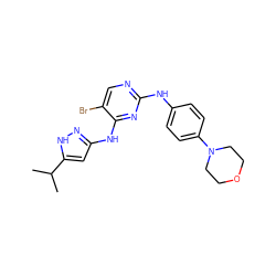 CC(C)c1cc(Nc2nc(Nc3ccc(N4CCOCC4)cc3)ncc2Br)n[nH]1 ZINC000138756915