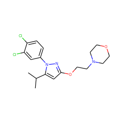 CC(C)c1cc(OCCN2CCOCC2)nn1-c1ccc(Cl)c(Cl)c1 ZINC000038215311