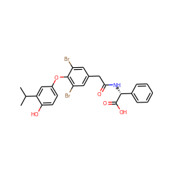 CC(C)c1cc(Oc2c(Br)cc(CC(=O)N[C@@H](C(=O)O)c3ccccc3)cc2Br)ccc1O ZINC000014969105