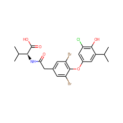 CC(C)c1cc(Oc2c(Br)cc(CC(=O)N[C@H](C(=O)O)C(C)C)cc2Br)cc(Cl)c1O ZINC000014969120