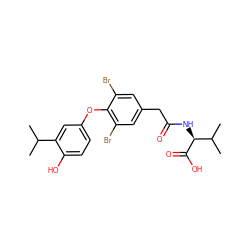 CC(C)c1cc(Oc2c(Br)cc(CC(=O)N[C@H](C(=O)O)C(C)C)cc2Br)ccc1O ZINC000014969093