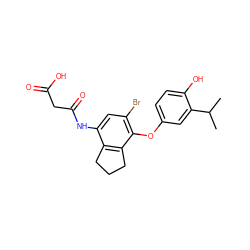 CC(C)c1cc(Oc2c(Br)cc(NC(=O)CC(=O)O)c3c2CCC3)ccc1O ZINC000003817462