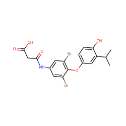 CC(C)c1cc(Oc2c(Br)cc(NC(=O)CC(=O)O)cc2Br)ccc1O ZINC000001494227