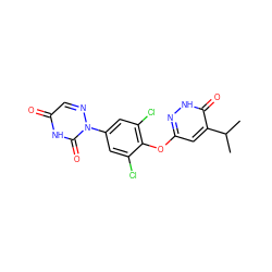 CC(C)c1cc(Oc2c(Cl)cc(-n3ncc(=O)[nH]c3=O)cc2Cl)n[nH]c1=O ZINC000034842514