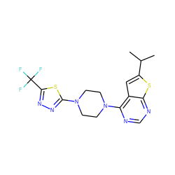 CC(C)c1cc2c(N3CCN(c4nnc(C(F)(F)F)s4)CC3)ncnc2s1 ZINC000198338244