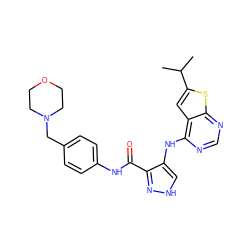 CC(C)c1cc2c(Nc3c[nH]nc3C(=O)Nc3ccc(CN4CCOCC4)cc3)ncnc2s1 ZINC001772640955