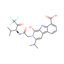 CC(C)c1cc2c3cccc(C(=O)O)c3nc-2c(O)n1CC(=O)N[C@H](C(=O)C(F)(F)F)C(C)C ZINC000100729504