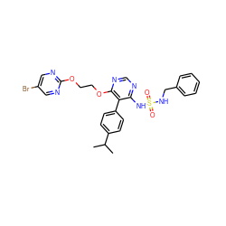 CC(C)c1ccc(-c2c(NS(=O)(=O)NCc3ccccc3)ncnc2OCCOc2ncc(Br)cn2)cc1 ZINC000095554045