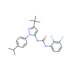 CC(C)c1ccc(-n2nc(C(C)(C)C)cc2NC(=O)Nc2cccc(Cl)c2Cl)cc1 ZINC000003833988