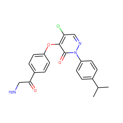 CC(C)c1ccc(-n2ncc(Cl)c(Oc3ccc(C(=O)CN)cc3)c2=O)cc1 ZINC000095559947