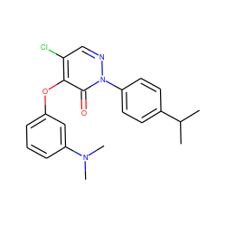 CC(C)c1ccc(-n2ncc(Cl)c(Oc3cccc(N(C)C)c3)c2=O)cc1 ZINC000066165912