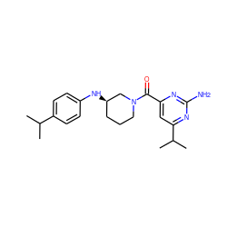 CC(C)c1ccc(N[C@@H]2CCCN(C(=O)c3cc(C(C)C)nc(N)n3)C2)cc1 ZINC000012432373