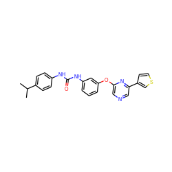 CC(C)c1ccc(NC(=O)Nc2cccc(Oc3cncc(-c4ccsc4)n3)c2)cc1 ZINC000473088501