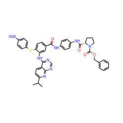 CC(C)c1ccc2c(Nc3cc(C(=O)Nc4ccc(NC(=O)[C@@H]5CCCN5C(=O)OCc5ccccc5)cc4)ccc3Sc3ccc(N)cc3)ncnc2n1 ZINC000198018786