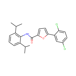 CC(C)c1cccc(C(C)C)c1NC(=O)c1ccc(-c2cc(Cl)ccc2Cl)o1 ZINC000061944543