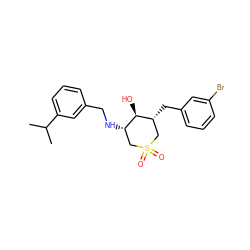 CC(C)c1cccc(CN[C@H]2CS(=O)(=O)C[C@@H](Cc3cccc(Br)c3)[C@@H]2O)c1 ZINC000071317410