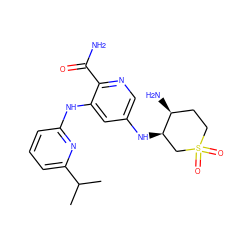 CC(C)c1cccc(Nc2cc(N[C@@H]3CS(=O)(=O)CC[C@@H]3N)cnc2C(N)=O)n1 ZINC000299861736