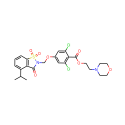 CC(C)c1cccc2c1C(=O)N(COc1cc(Cl)c(C(=O)OCCN3CCOCC3)c(Cl)c1)S2(=O)=O ZINC000026966936