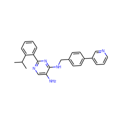 CC(C)c1ccccc1-c1ncc(N)c(NCc2ccc(-c3cccnc3)cc2)n1 ZINC000169304101