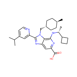 CC(C)c1ccnc(-c2nc3cc(C(=O)O)nc(N[C@H](C)C4CCC4)c3n2C[C@H]2CC[C@H](C)CC2)c1 ZINC000261090513