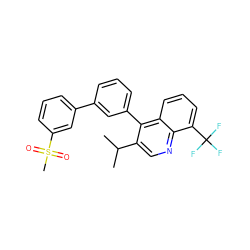 CC(C)c1cnc2c(C(F)(F)F)cccc2c1-c1cccc(-c2cccc(S(C)(=O)=O)c2)c1 ZINC000049785001