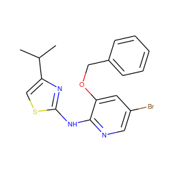 CC(C)c1csc(Nc2ncc(Br)cc2OCc2ccccc2)n1 ZINC000096284837