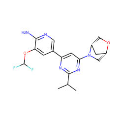 CC(C)c1nc(-c2cnc(N)c(OC(F)F)c2)cc(N2C[C@@H]3C[C@H]2CO3)n1 ZINC000653755710