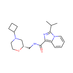 CC(C)c1nc(C(=O)NC[C@H]2CN(C3CCC3)CCO2)c2ccccn12 ZINC000653792933