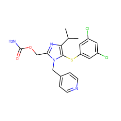 CC(C)c1nc(COC(N)=O)n(Cc2ccncc2)c1Sc1cc(Cl)cc(Cl)c1 ZINC000000538635