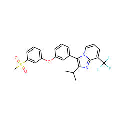 CC(C)c1nc2c(C(F)(F)F)cccn2c1-c1cccc(Oc2cccc(S(C)(=O)=O)c2)c1 ZINC000049792515