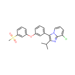 CC(C)c1nc2c(Cl)cccn2c1-c1cccc(Oc2cccc(S(C)(=O)=O)c2)c1 ZINC000045386954