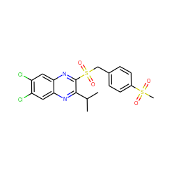 CC(C)c1nc2cc(Cl)c(Cl)cc2nc1S(=O)(=O)Cc1ccc(S(C)(=O)=O)cc1 ZINC000028950901