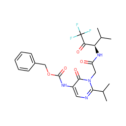 CC(C)c1ncc(NC(=O)OCc2ccccc2)c(=O)n1CC(=O)N[C@@H](C(=O)C(F)(F)F)C(C)C ZINC000013740157