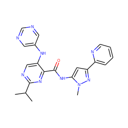 CC(C)c1ncc(Nc2cncnc2)c(C(=O)Nc2cc(-c3ccccn3)nn2C)n1 ZINC000096167422